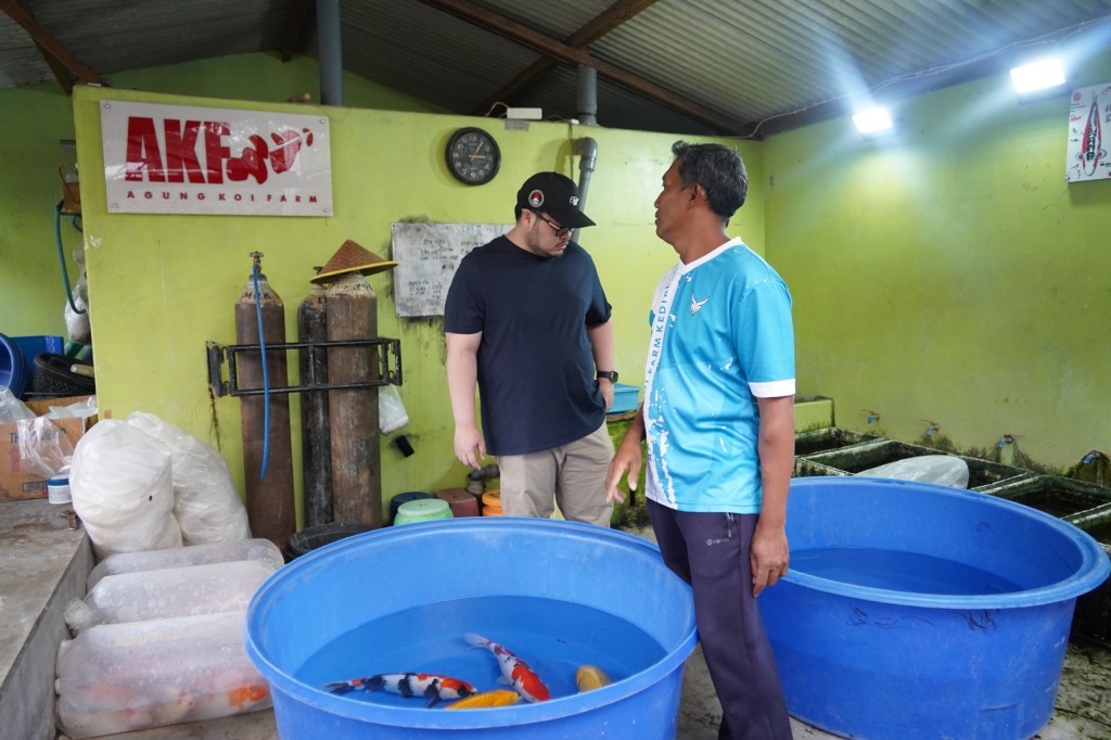 Nilai Ekonomis Capai Rp700 Milyar, Pemkab Kediri Bakal Gelar Kediri Koi Show&nbsp;12