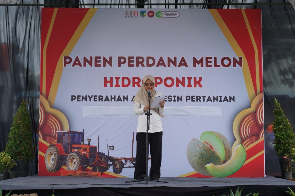 Pemkab Kediri Panen Perdana Melon Hidroponik, Dorong Regenerasi Petani&nbsp;Muda